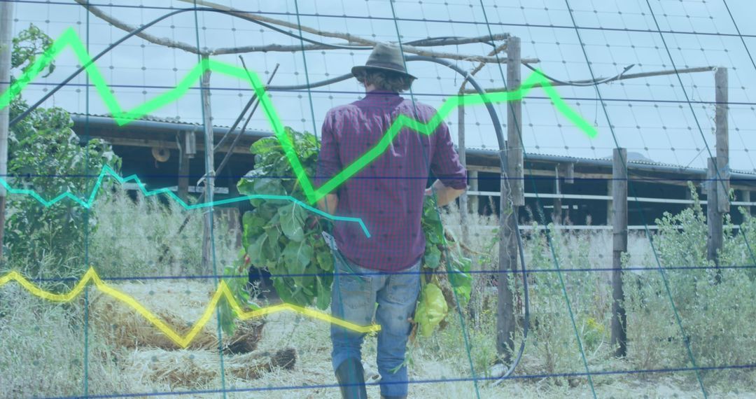 Farmer Analyzing Crop Yield with Financial Data Interface