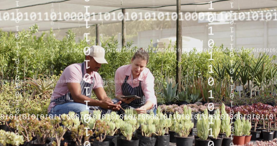 Greenhouse Technology Enthusiasts Utilizing Mobile Devices Amongst Succulents