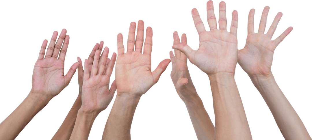 Diverse Raised Hands on Transparent Background Isolated