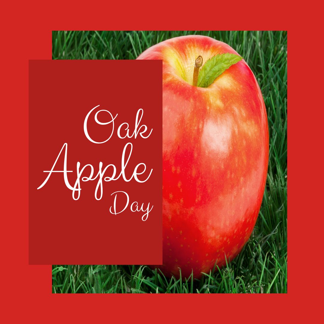 Oak Apple Day Celebration with Fresh Red Apple