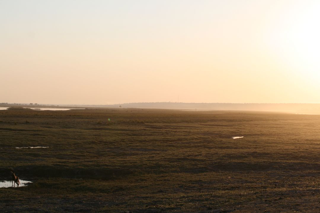 Serene Landscape with Sunset Over Grassy Marshland - Free Images, Stock Photos and Pictures on Pikwizard.com