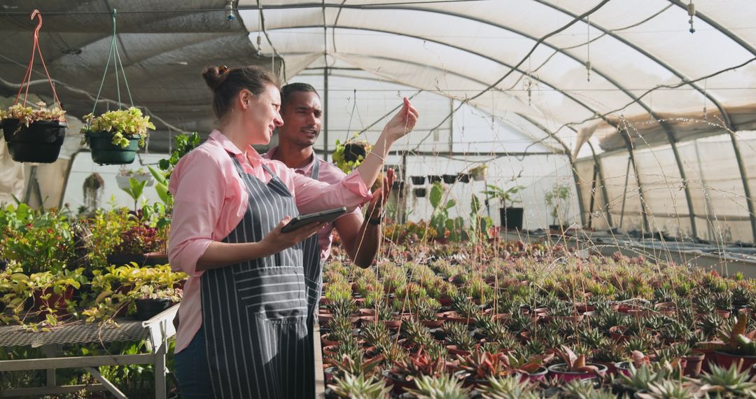 Diverse Coworkers Analyzing Succulents in Greenhouse