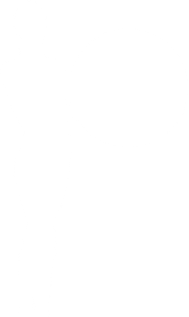 Transparent Silhouette of a Woman Holding a Gym Ball - Download Free Stock Images Pikwizard.com