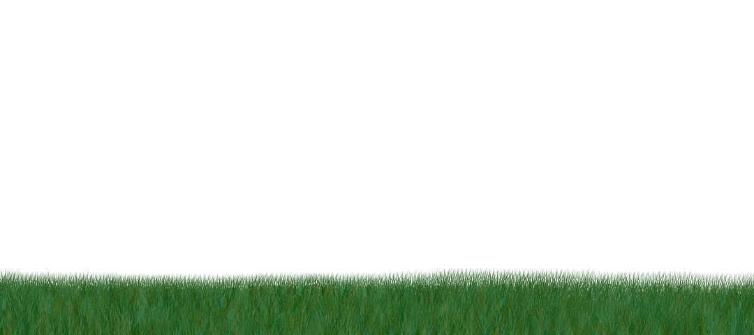 Realistic Grass with Transparent Background for Design and Nature Projects - Download Free Stock Images Pikwizard.com