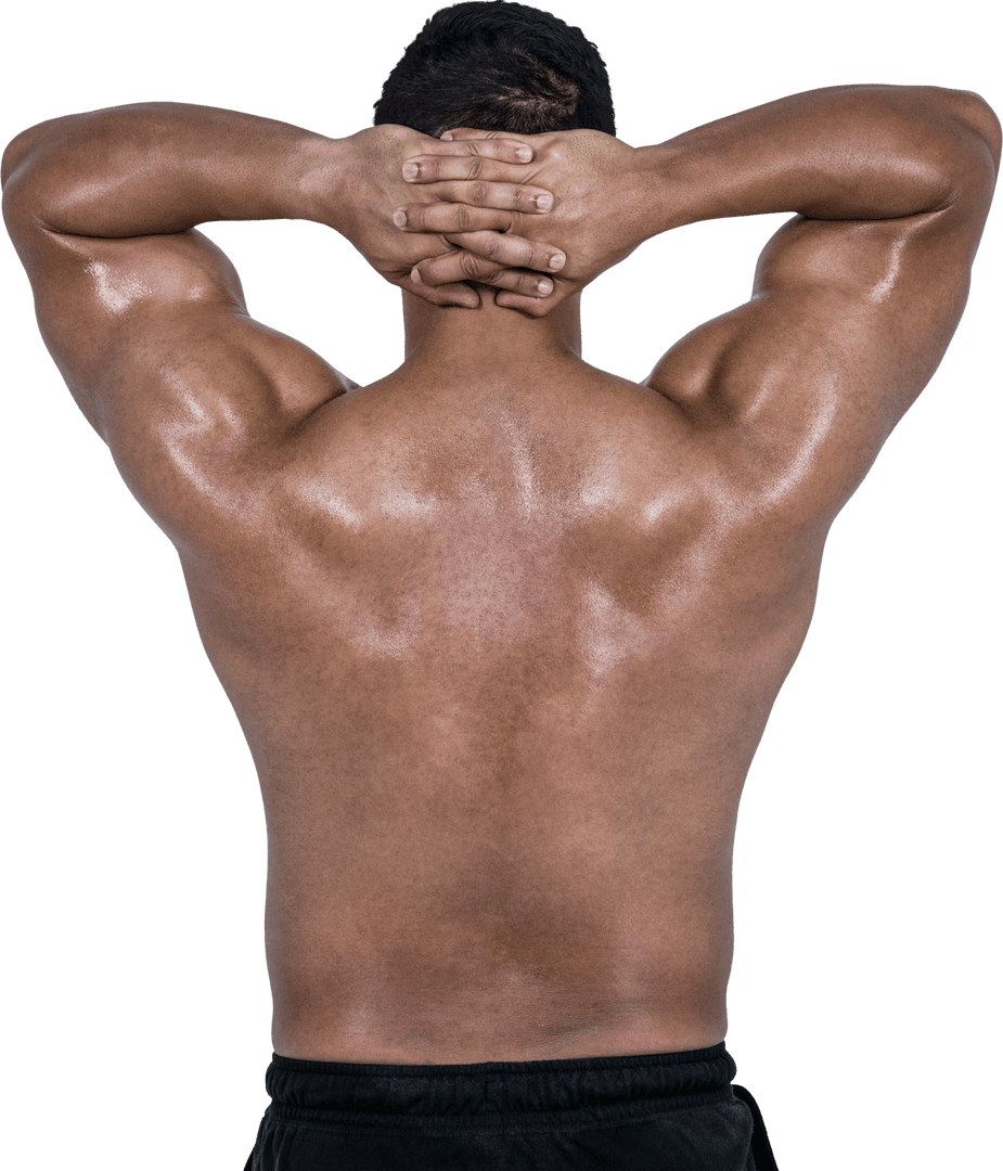 Transparent Muscular Man Flexing Back Muscles