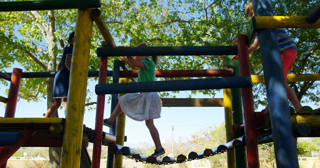 Children Playing on Colorful Jungle Gym Under Trees - Free Images, Stock Photos and Pictures on Pikwizard.com