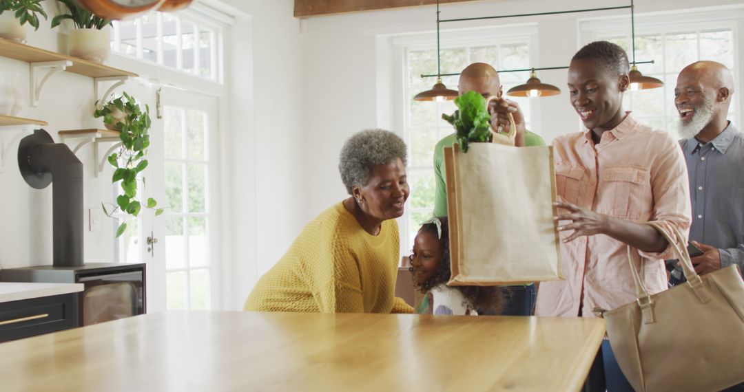 Image of happy african american parents with daughter and grandparents, arriving home with shopping - Free Images, Stock Photos and Pictures on Pikwizard.com