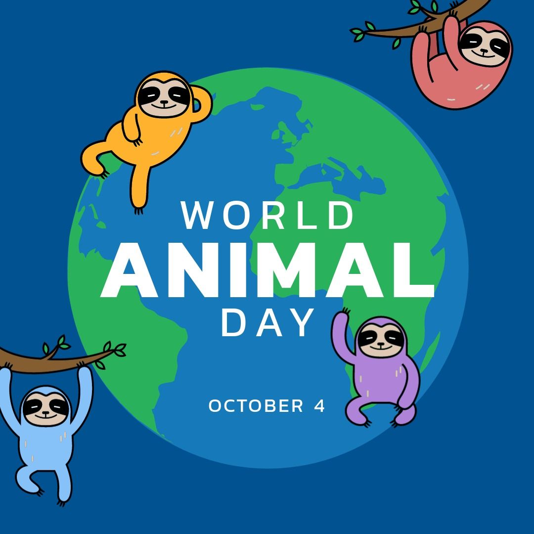 Square image of world animal day text with four sloths and globe - Download Free Stock Templates Pikwizard.com
