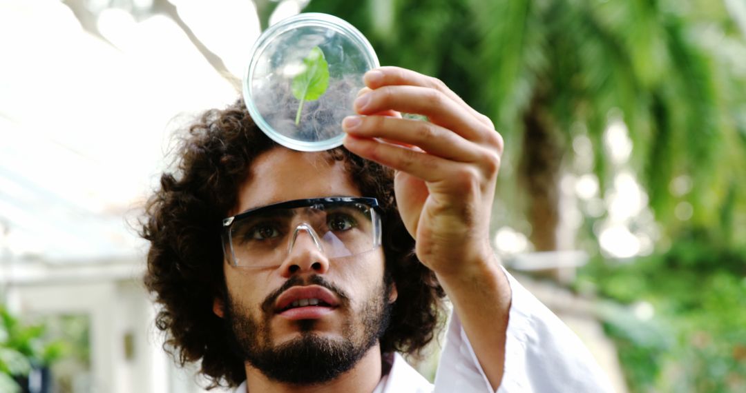 Scientist examining plant sample in petri dish outdoors - Free Images, Stock Photos and Pictures on Pikwizard.com