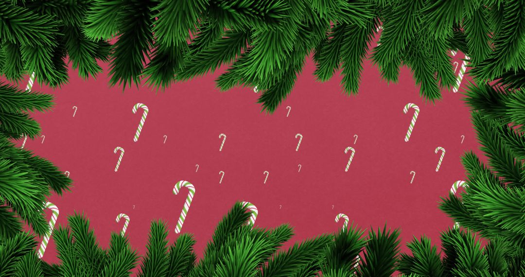 Festive Fir Branches with Falling Candy Canes on Red Background