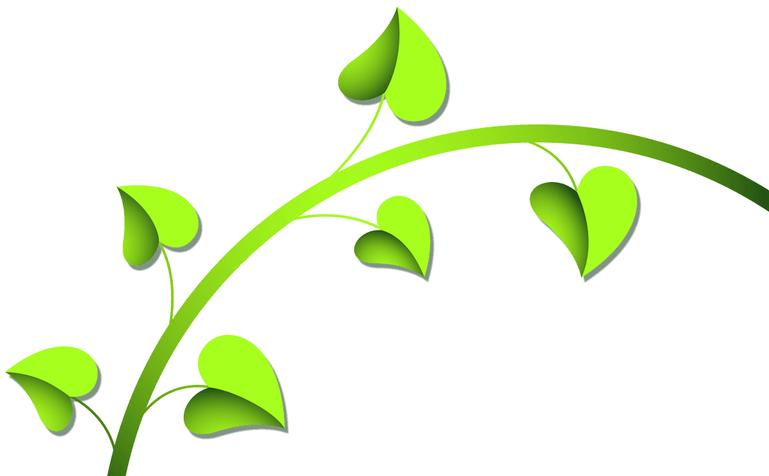 Glossy Heart-Shaped Leaves on Curved Vine Transparent Background