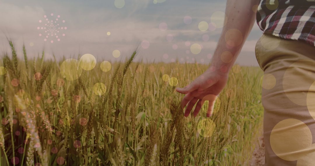 Man Walking Through Meadow with Festive Light Overlay