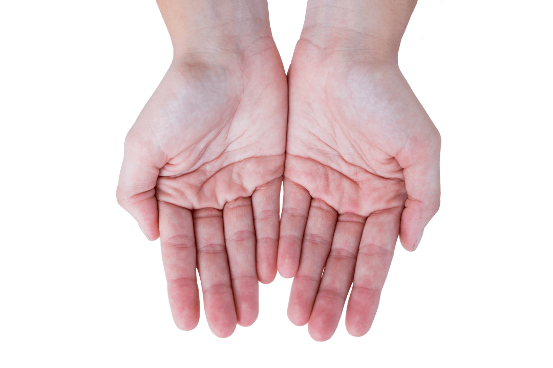 Transparent Open Hands Gesture in Offering Position