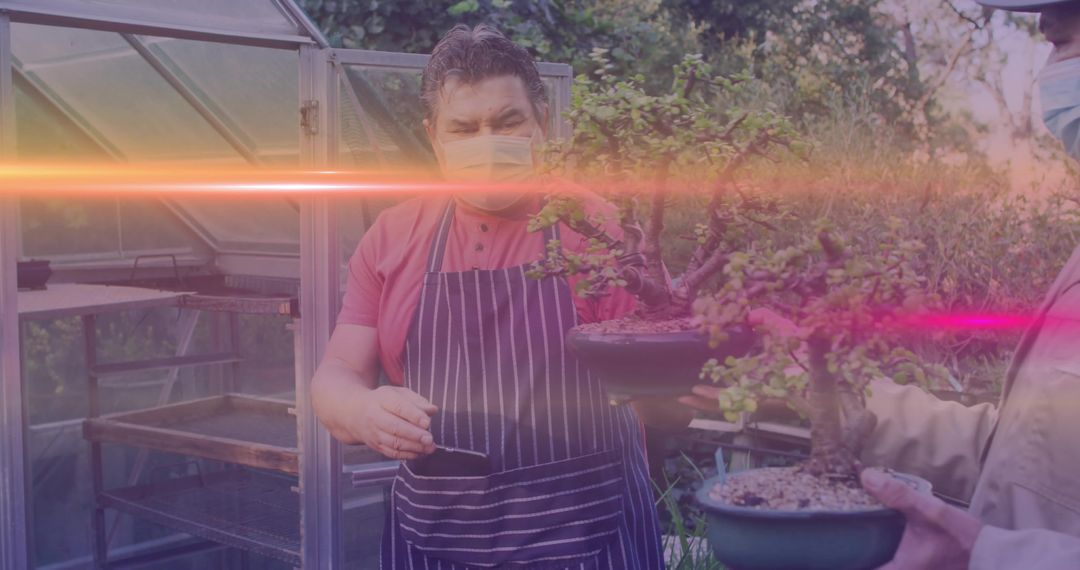 Masked gardener tending bonsai in greenhouse with warm lens flare and collaborative care
