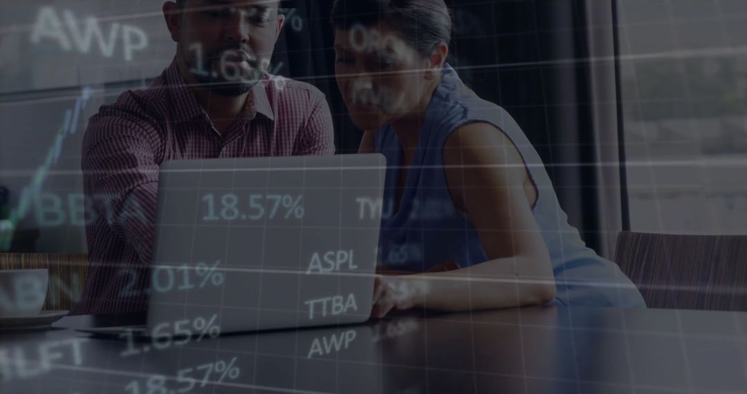 Dynamic Financial Analysis with Professionals at Work