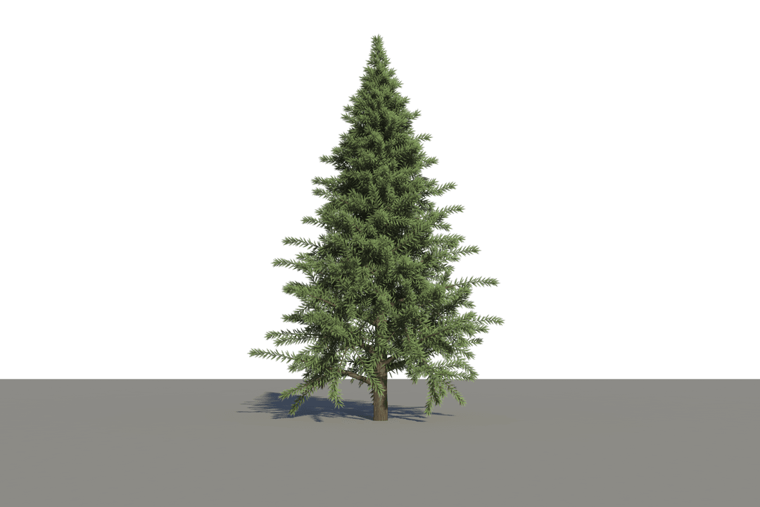 Christmas Tree Illustration on Transparent Background