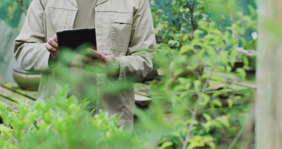 Gardener Using Digital Tablet in Greenhouse Environment - Free Images, Stock Photos and Pictures on Pikwizard.com