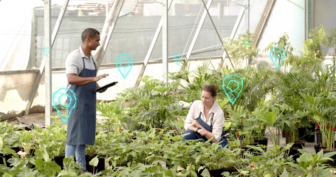 Greenhouse workers using tablet and augmented reality markers for monitoring potted plants