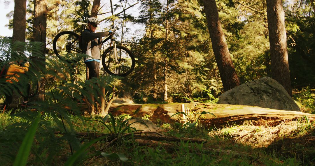 Mountain Biker Exploring Forest Trail in Early Morning Light - Free Images, Stock Photos and Pictures on Pikwizard.com