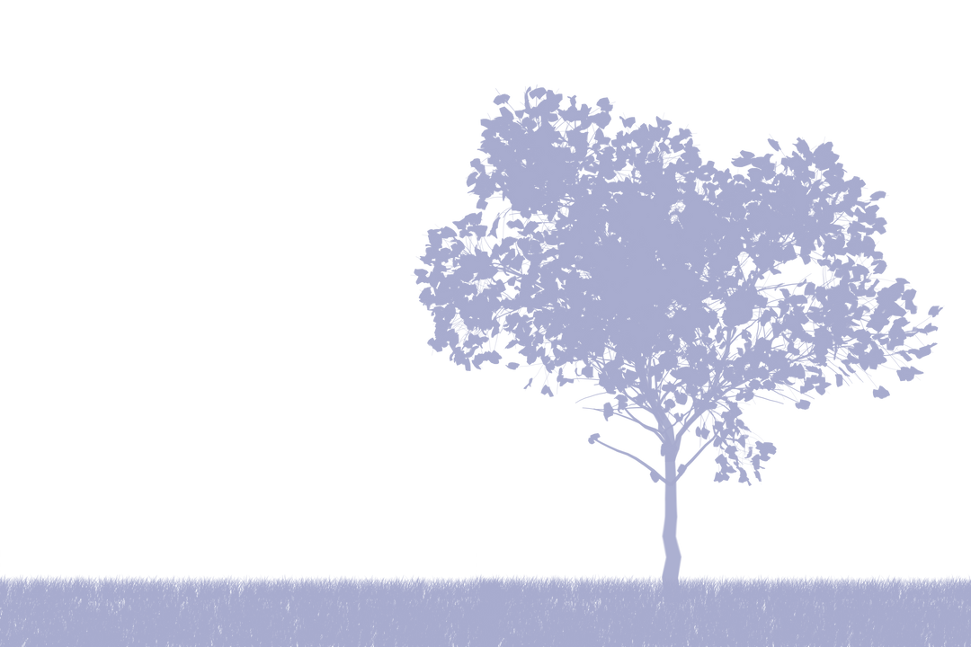 Transparent Silhouette of Lone Tree on Grass Field for Design Projects - Download Free Stock Images Pikwizard.com