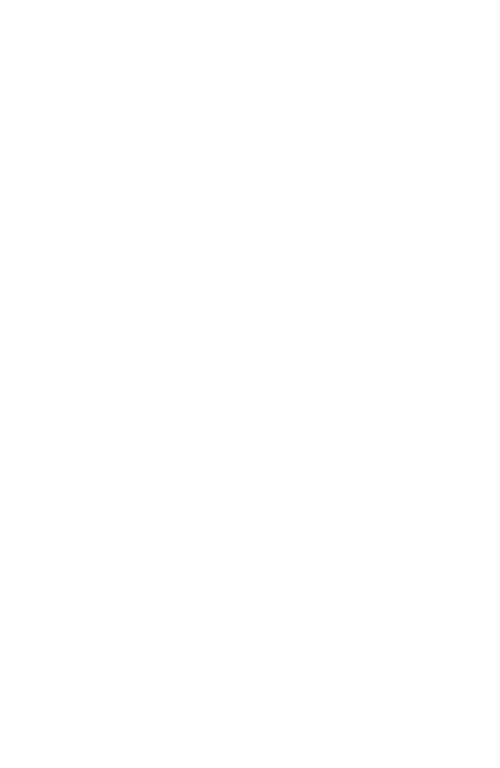 Transparent Silhouette Female Badminton Player Action - Download Free Stock Images Pikwizard.com