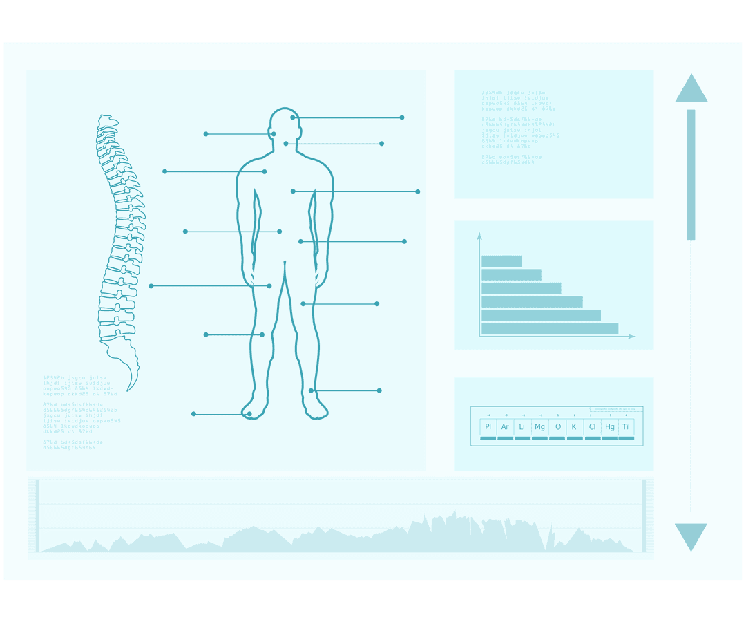 Transparent Anatomy Illustration of Human Body and Spine Schematics