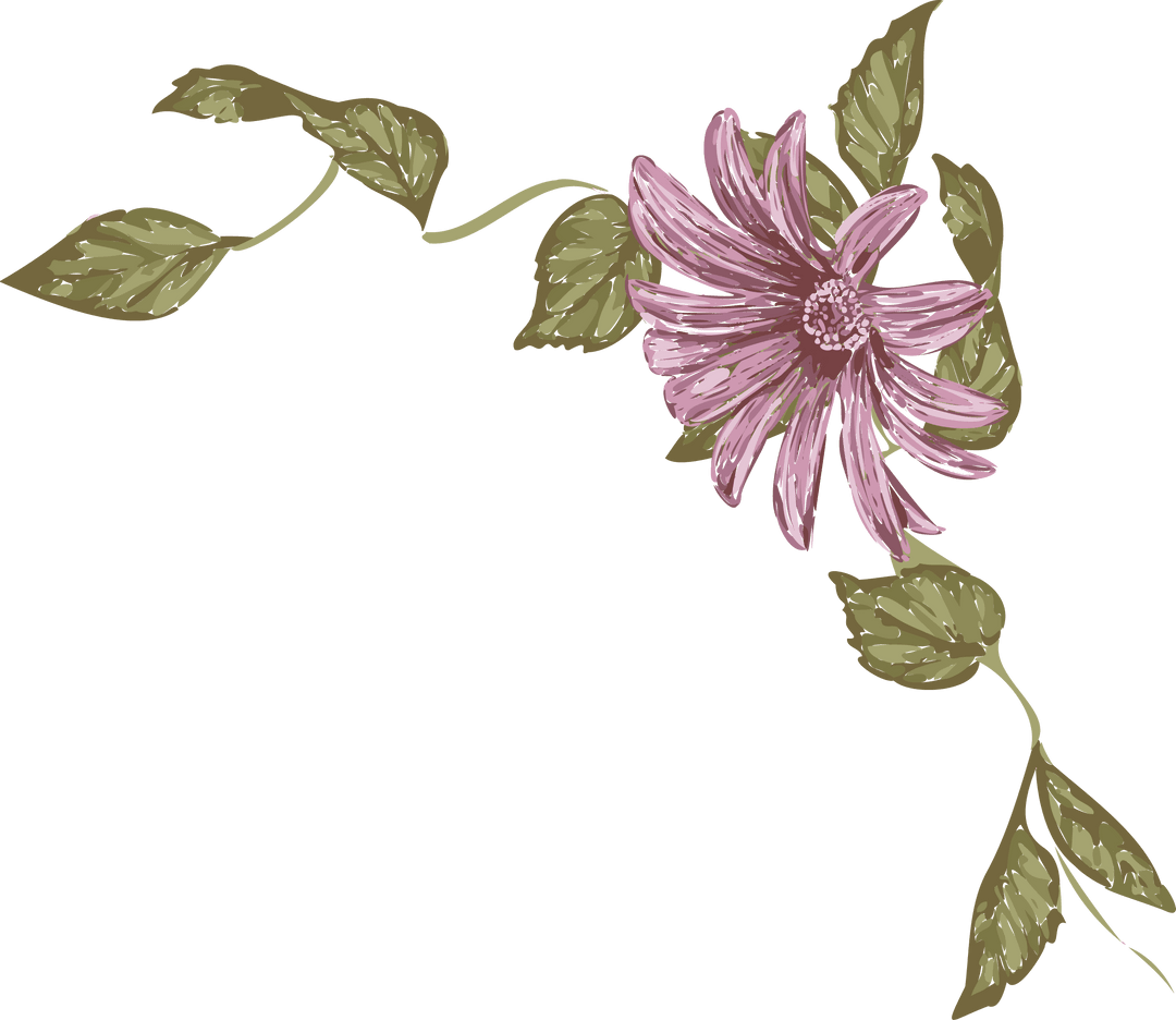 Transparent Hand-Painted Pink Daisy with Vine