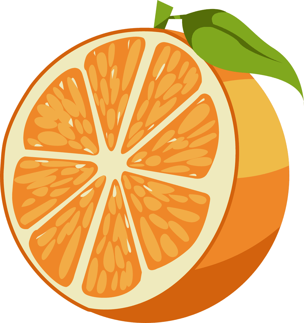 Transparent Vector Illustrations of Halved Orange with Leaf
