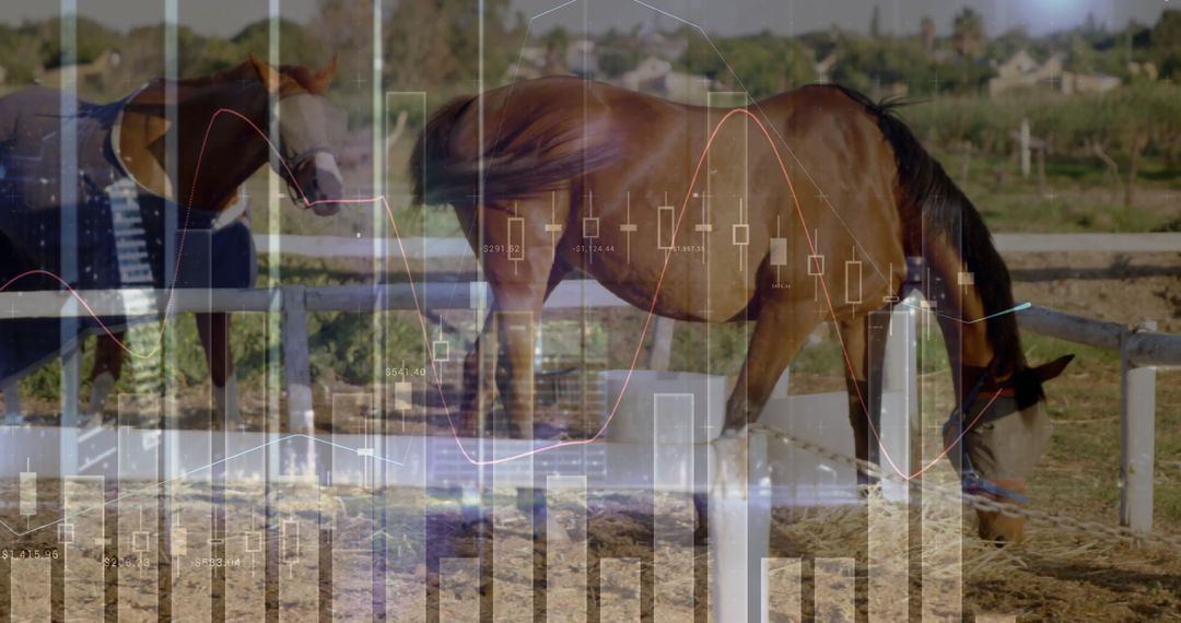 Grazing Horse with Stock Market Overlay Representing Economic Stability