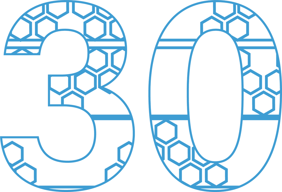 Blue Patterned 30 Number on Transparent Background