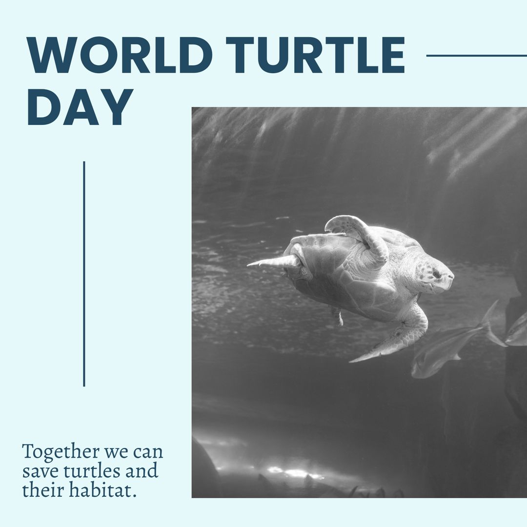 Celebrating World Turtle Day with Underwater Wildlife Advocacy