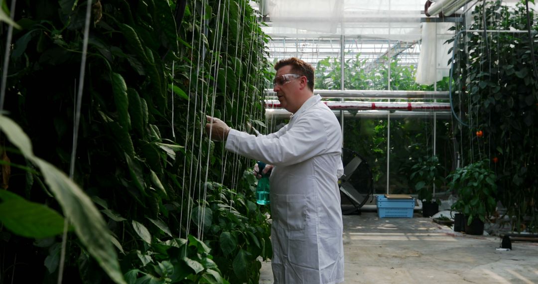 Scientist in Greenhouse Researching Plant Growth - Free Images, Stock Photos and Pictures on Pikwizard.com