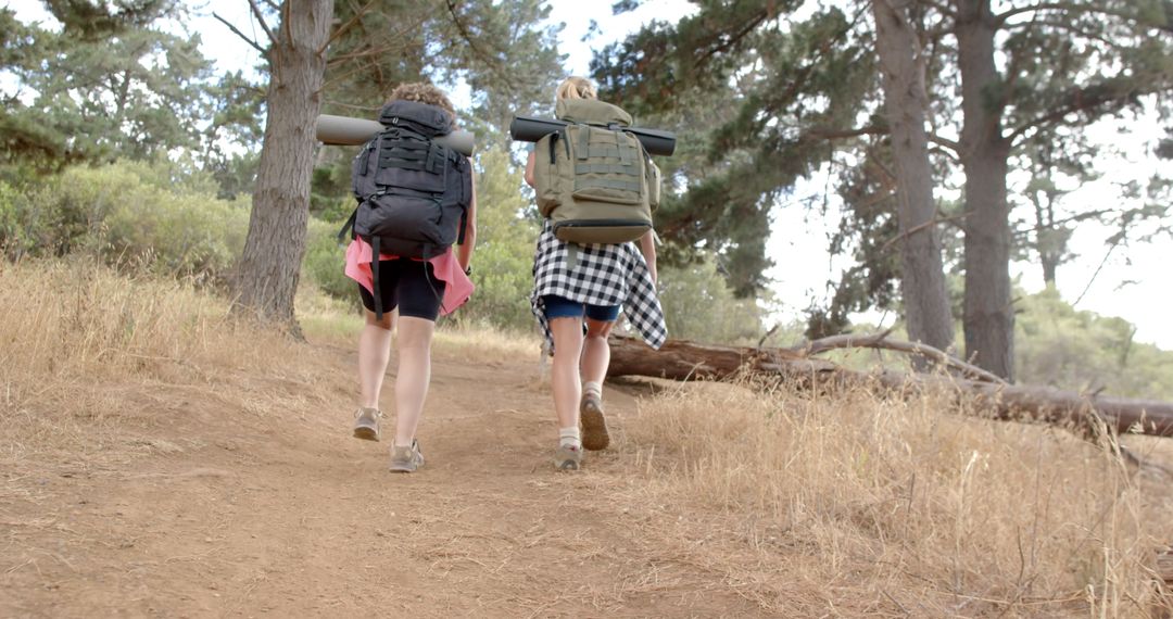 Adventurous Hike Through Forest Trail