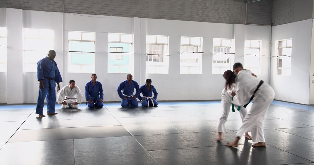 Grappling Training in Dojo with Diverse Participants Observing