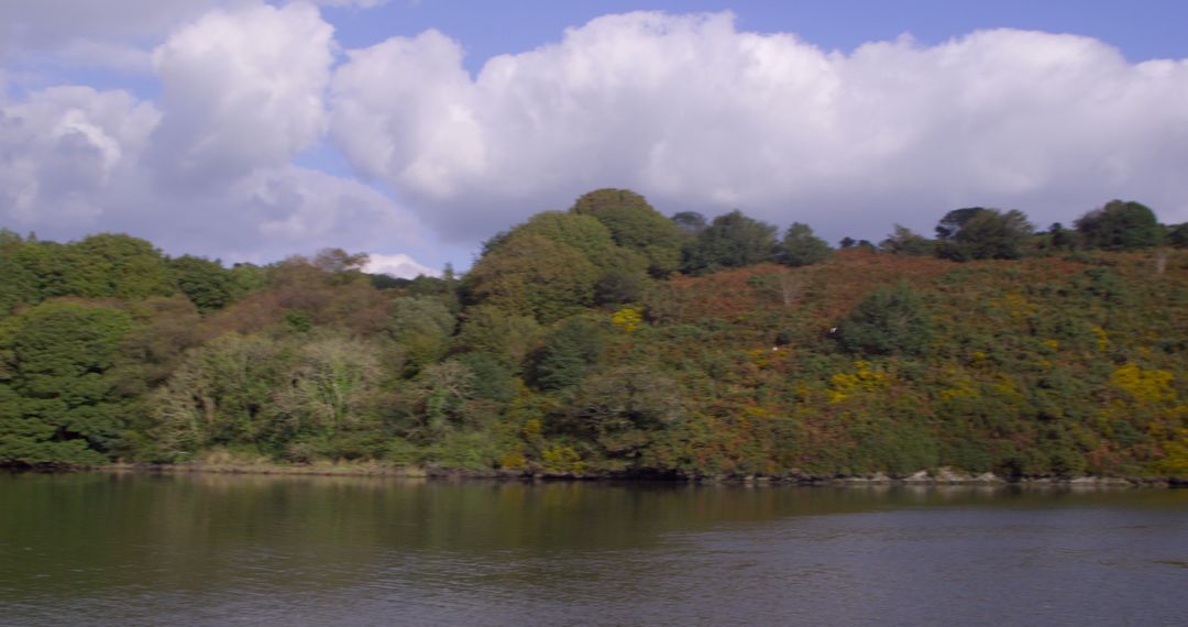 Serene Countryside Lake with Leisure Boat and Lush Greenery - Free Images, Stock Photos and Pictures on Pikwizard.com