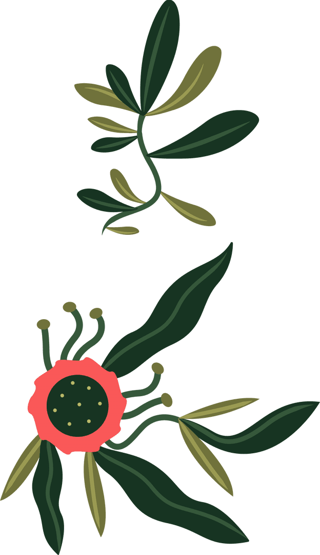 Flat Botanical Vector Design with Leaf Clusters and Red Flower Transparent
