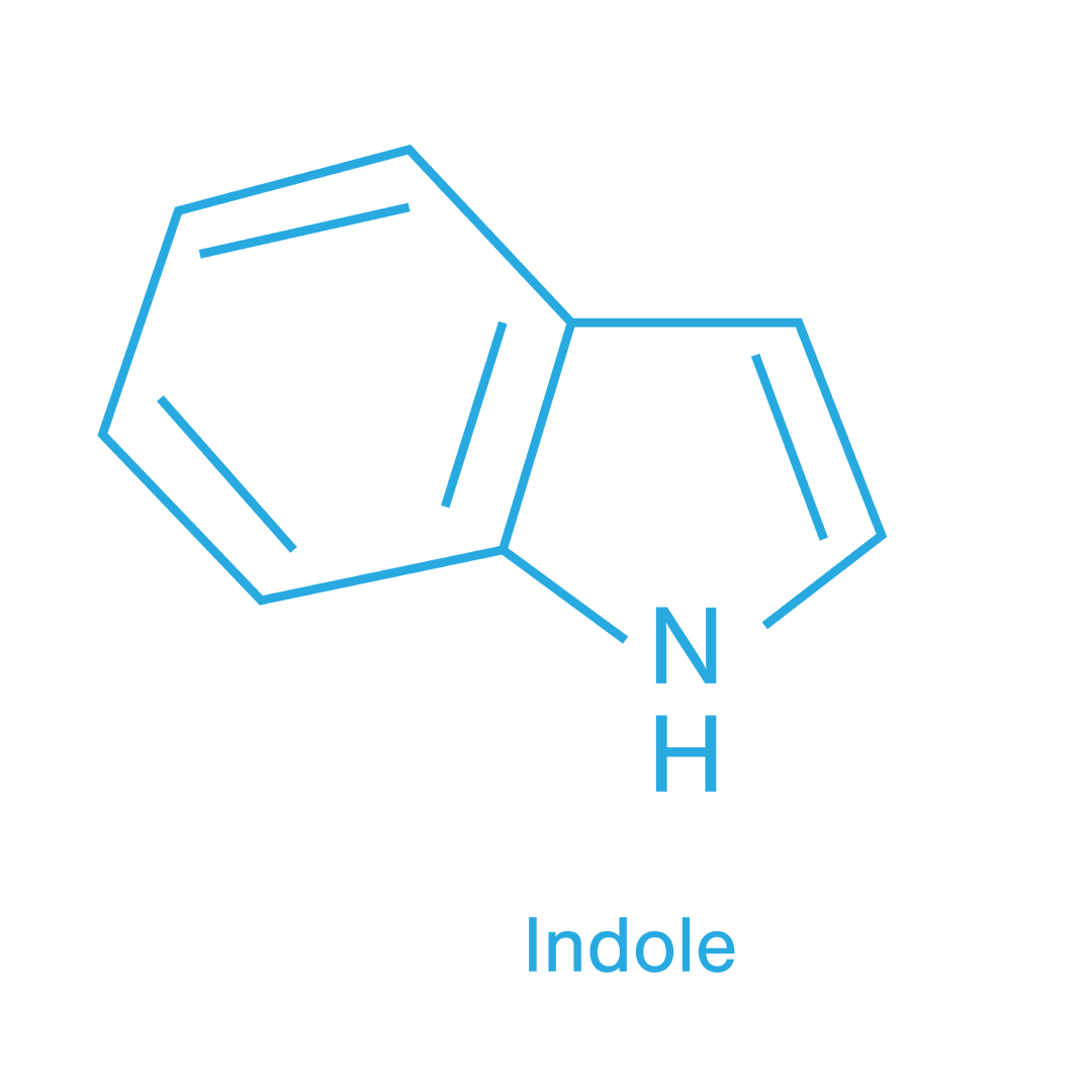 Transparent Diagram of Indole Molecular Structure