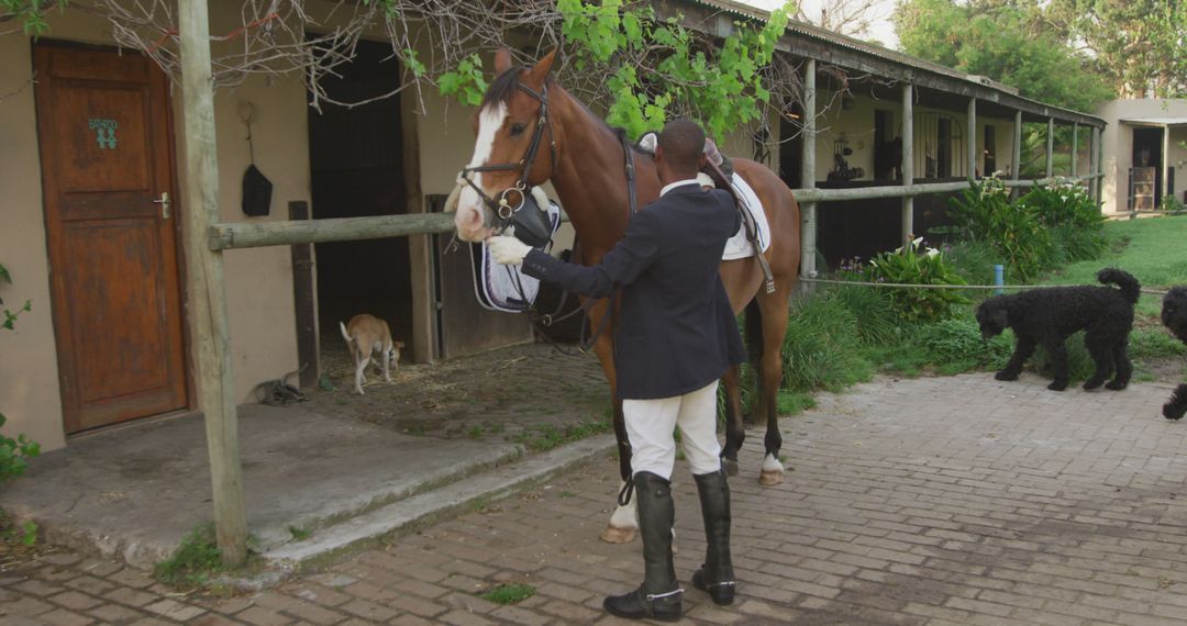 Equestrian preparing horse at stable with dogs nearby - Free Images, Stock Photos and Pictures on Pikwizard.com