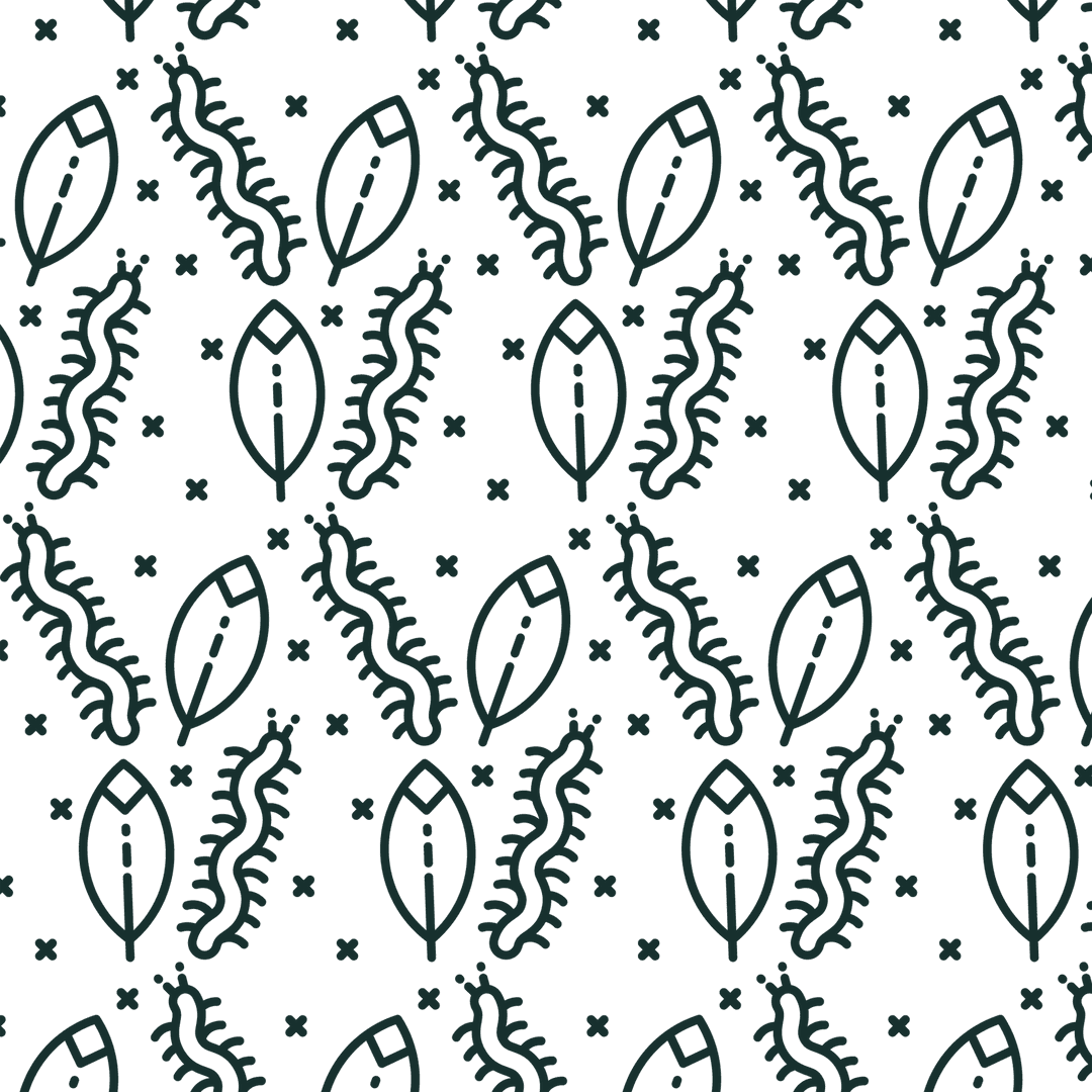 Seamless Black Leaf Centipede Pattern Transparent Background