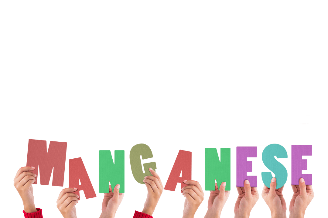 Hands Holding Multicolored MANGANESE Text on Transparent Background