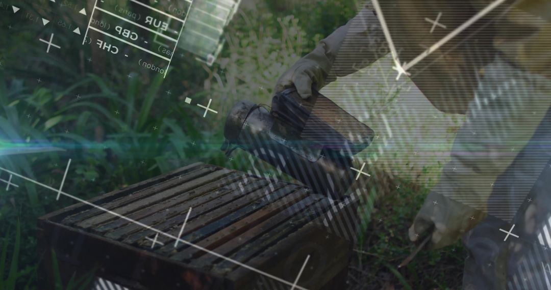 Beekeeper Tending Hives Using Smoker in Green Environment