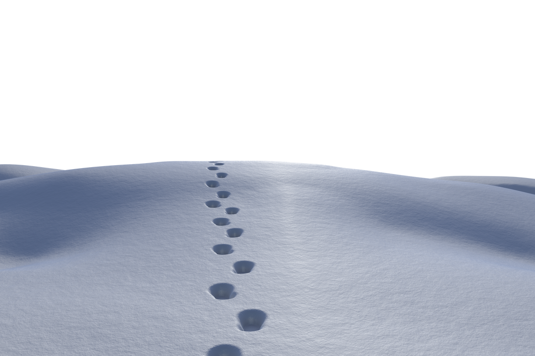 Snow Landscape with Footprints on Transparent Background - Download Free Stock Images Pikwizard.com