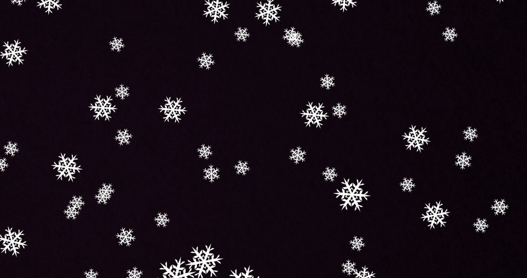 Falling Snowflakes on Black Background