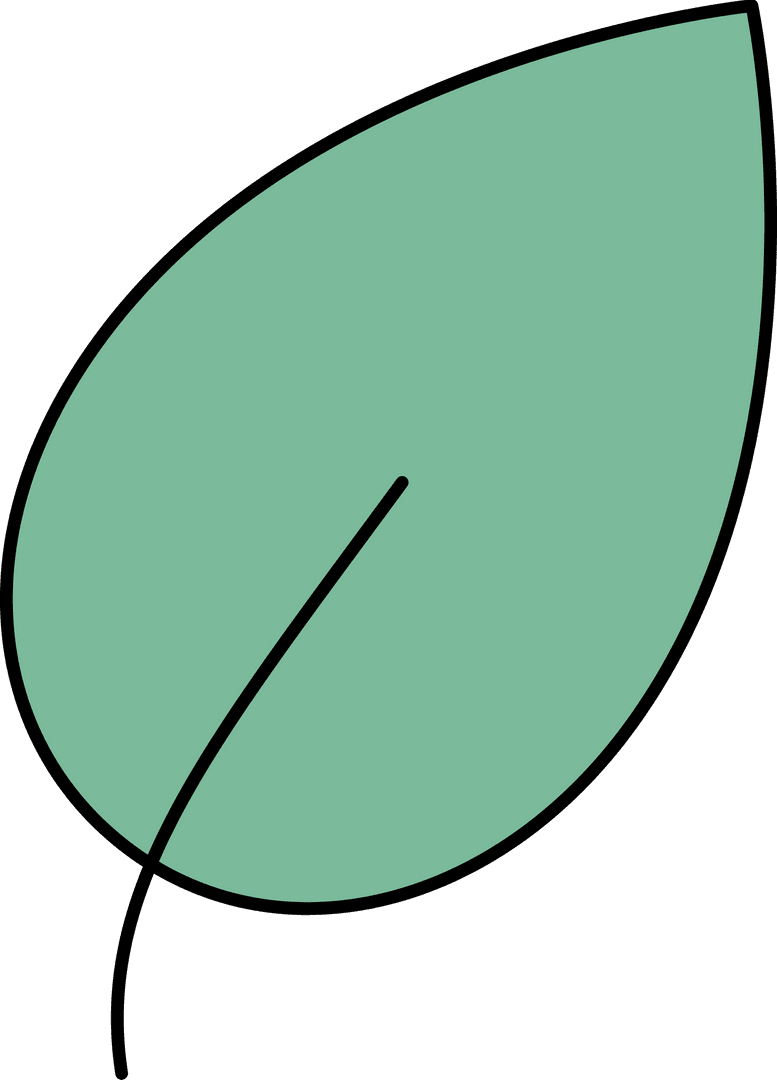 Stylized Green Leaf on Transparent Background Representing Nature