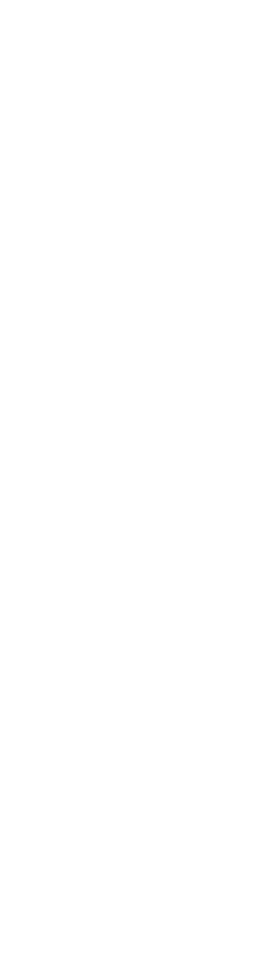 Victorious Silhouette Celebrating Success on Transparent Background