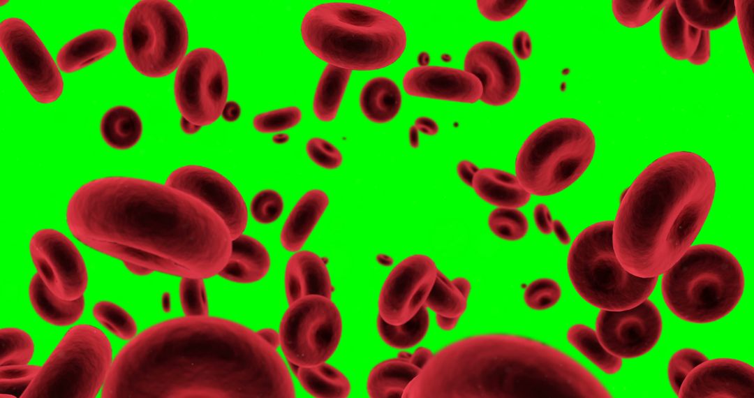 Red Blood Cells Floating on Green Background - Free Images, Stock Photos and Pictures on Pikwizard.com