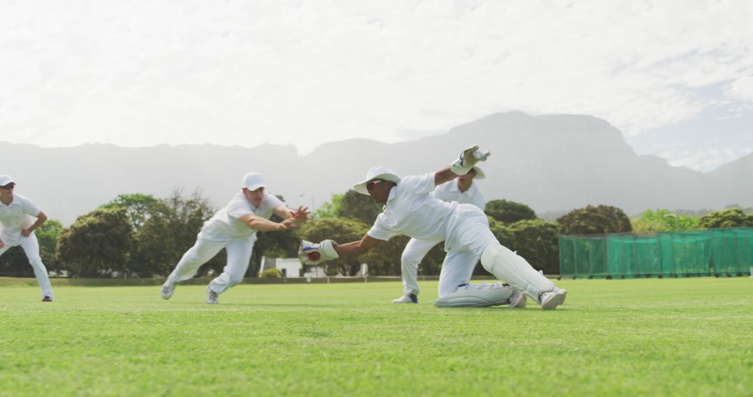 Cricket Team Fielding Action on Sunny Day - Free Images, Stock Photos and Pictures on Pikwizard.com