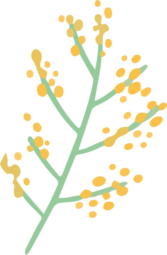 Minimalist Botanical Sprig with Yellow Berries on Transparent Background