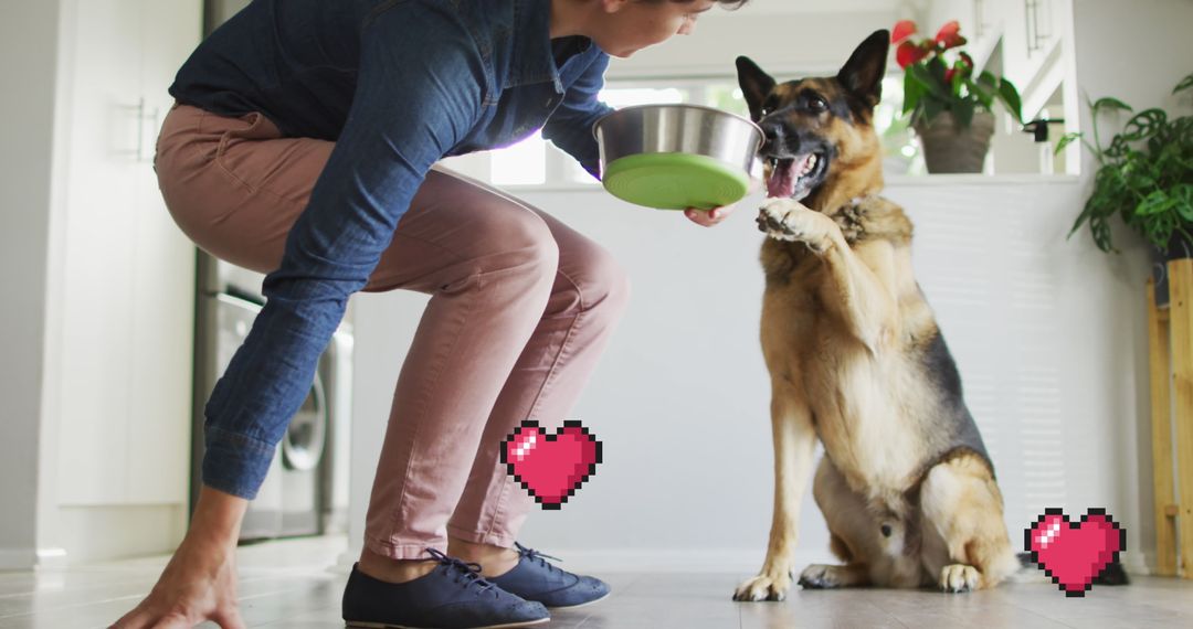 Woman Feeding German Shepherd with Digital Love Icons