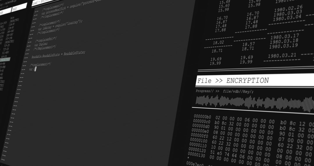 Data Processing and Encryption on Monitors